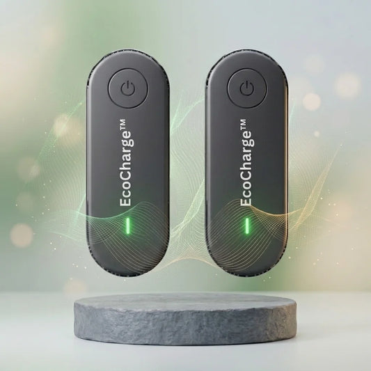 EcoCharge™