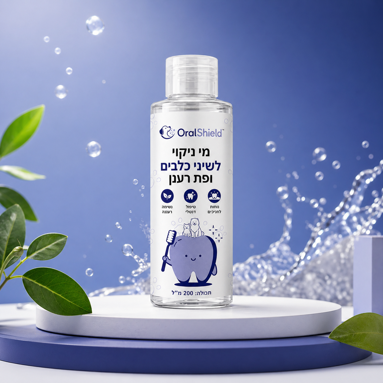אקו-טעינה