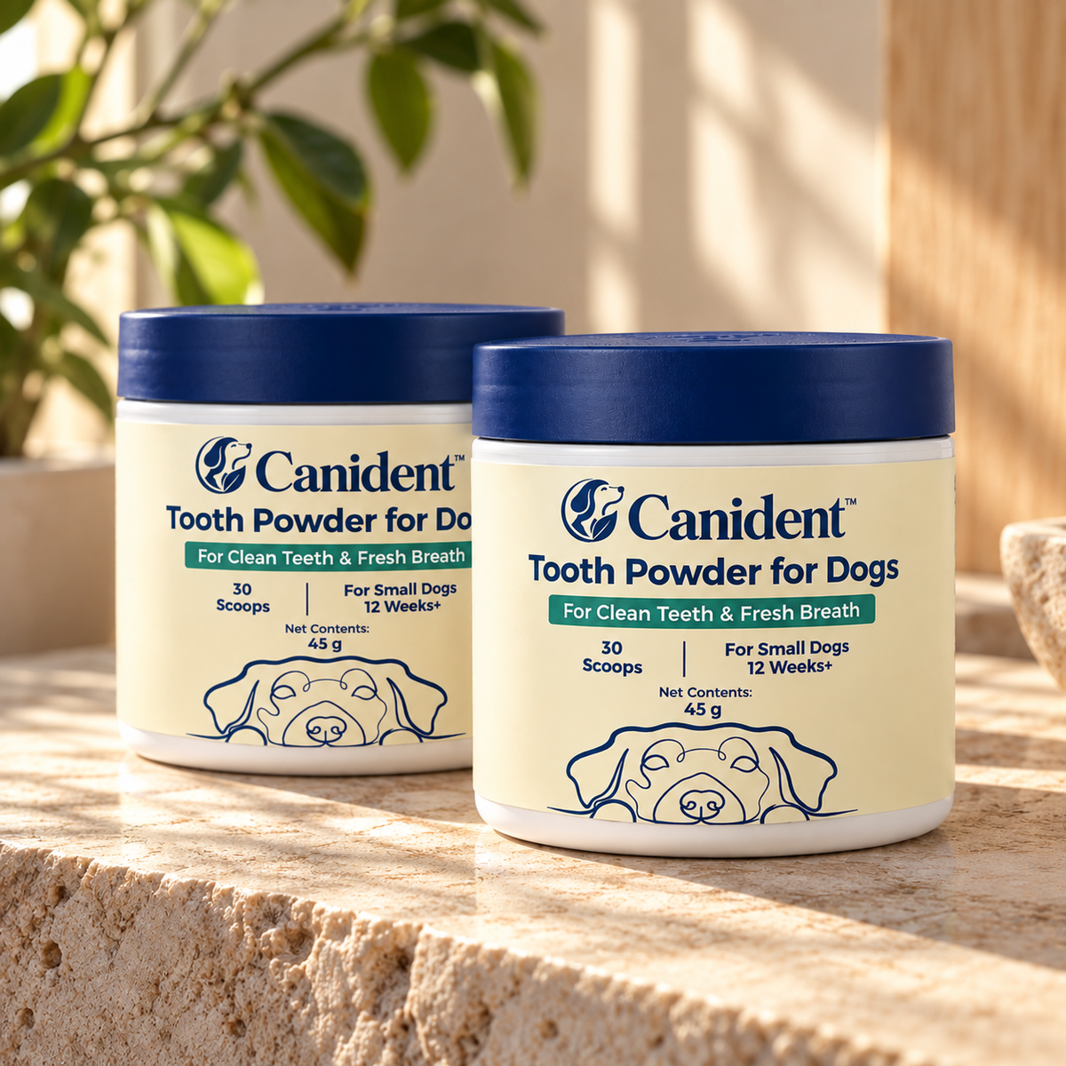 Canident™
