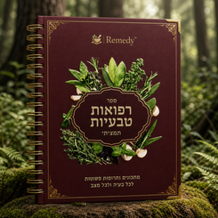 אקו-טעינה